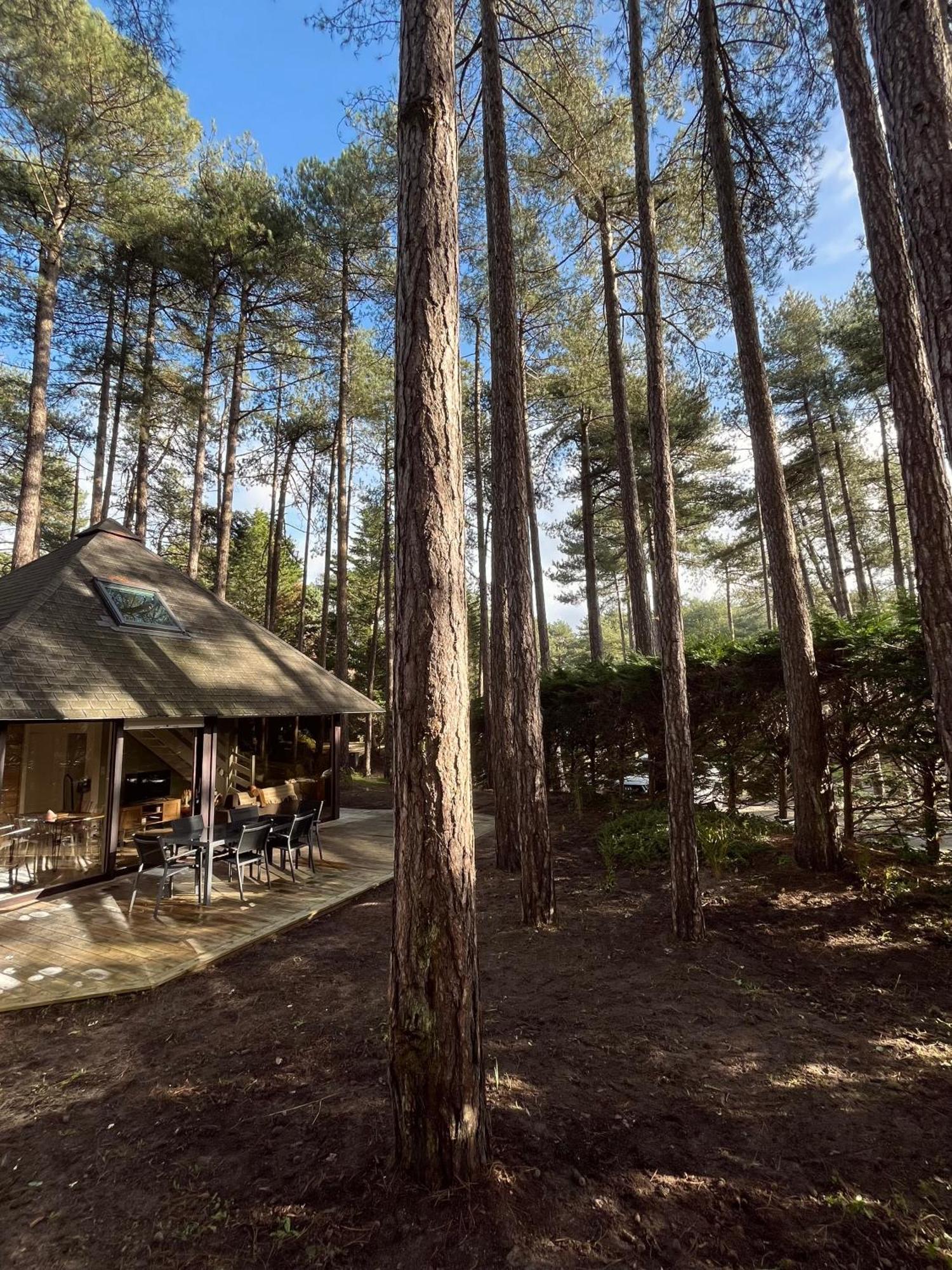 L Oree De La Pinede A 800 Metres De La Sous Les Pins * Hardelot-Plage